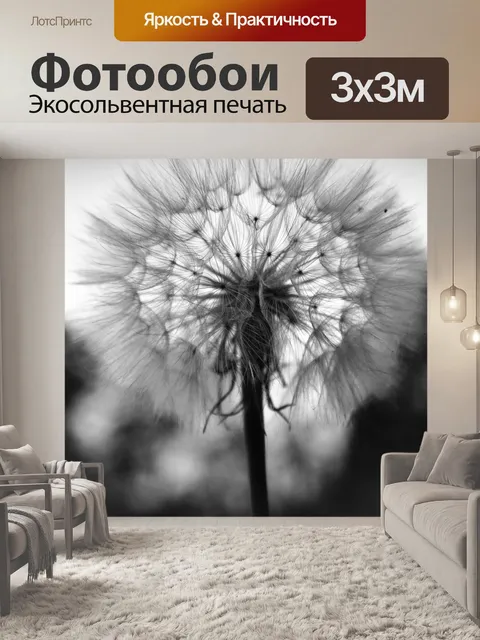 Фотообои Одуванчик