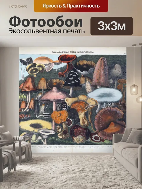 Фотообои Винтажная иллюстрация чемпиона грибов
