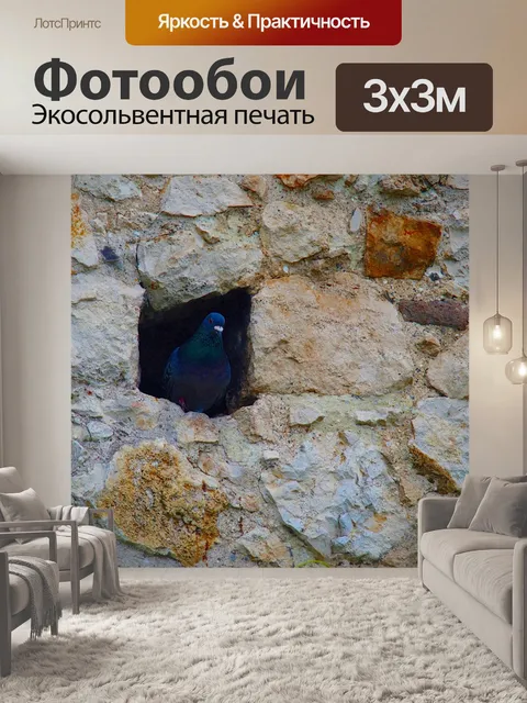 Фотообои Птица