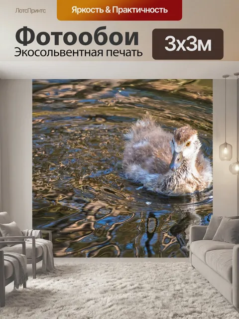 Фотообои Египетский гусь