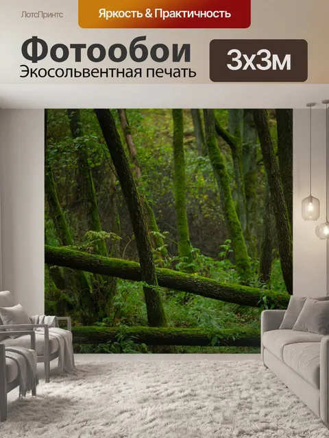 Фотообои Лес