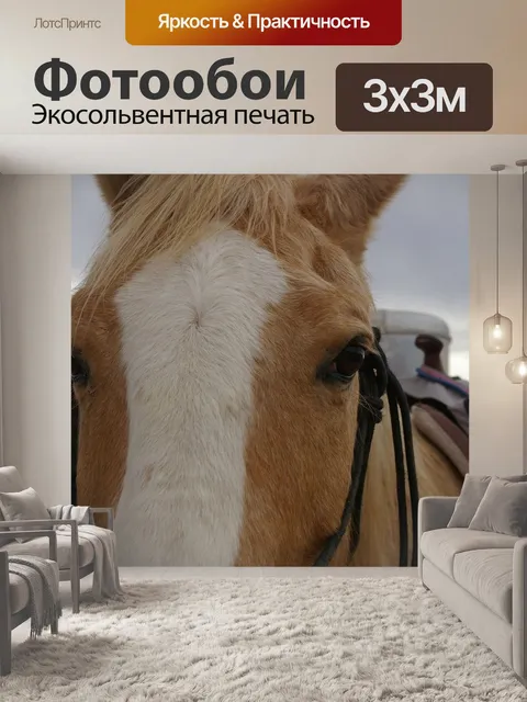 Фотообои Лошадь
