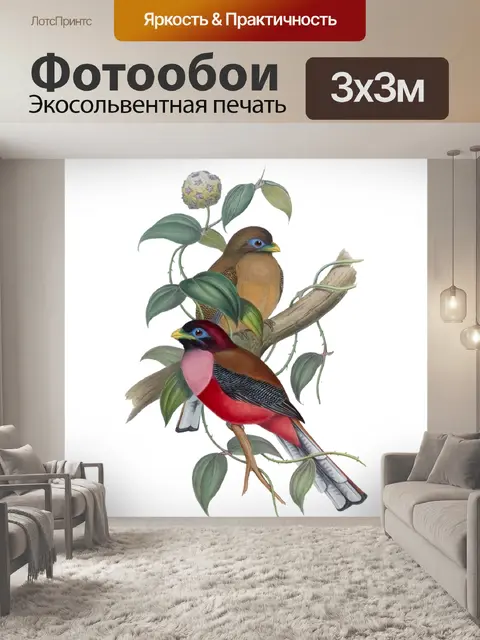 Фотообои Винтажный клипарт тропических птиц