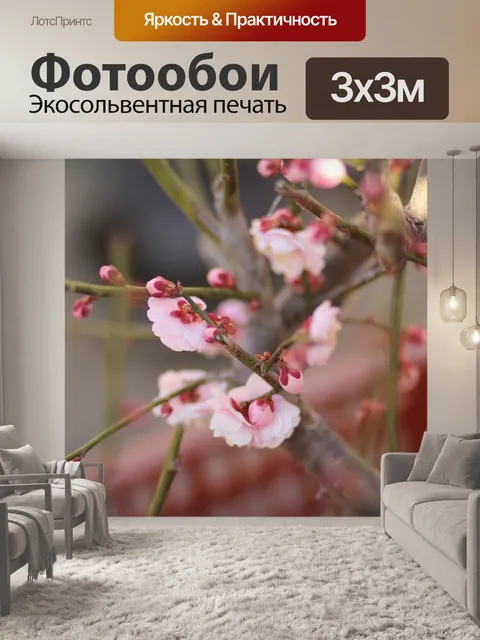 Фотообои Розовый цвет сливы