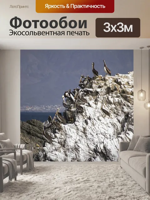 Фотообои Птицы