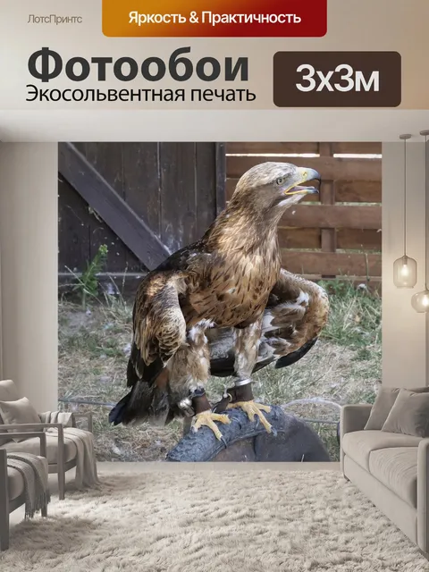 Фотообои Дикие птицы