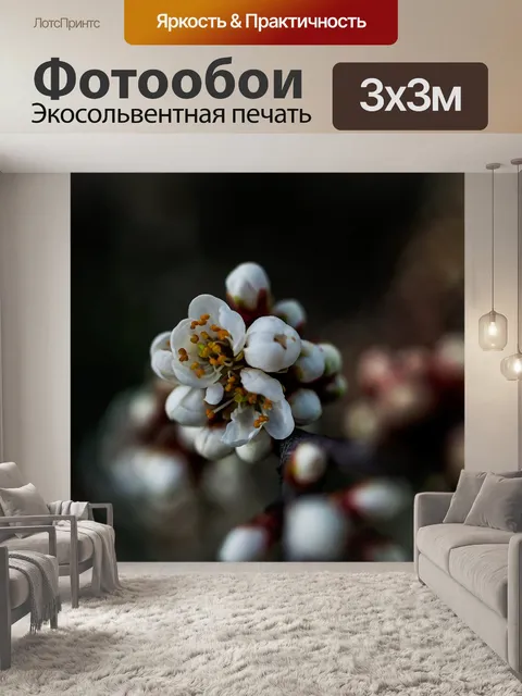 Фотообои Цветы