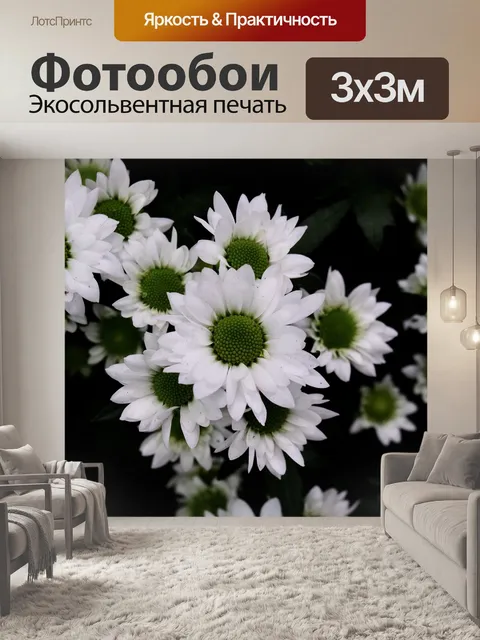 Фотообои Хризантема морифолиум