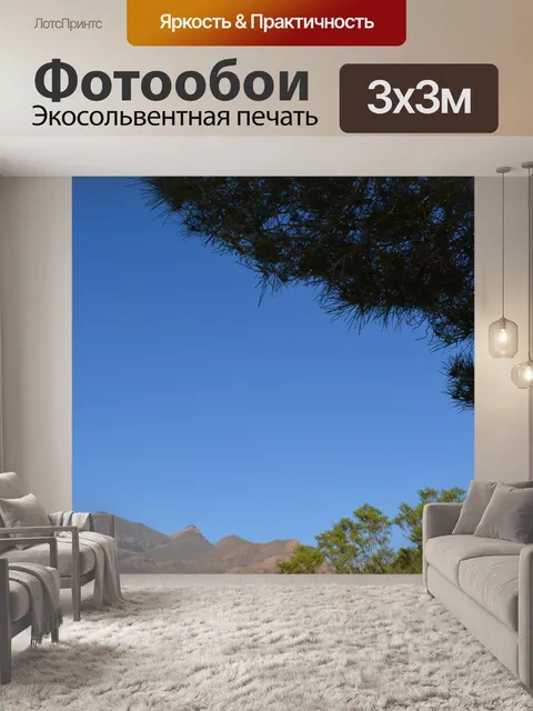Фотообои Глядя вверх зеленые ветви дерева Sky
