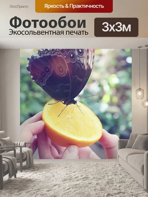 Фотообои Бабочка
