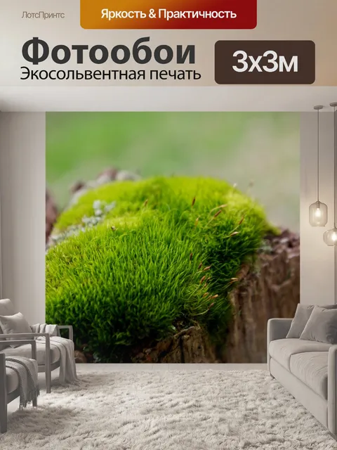 Фотообои Мох