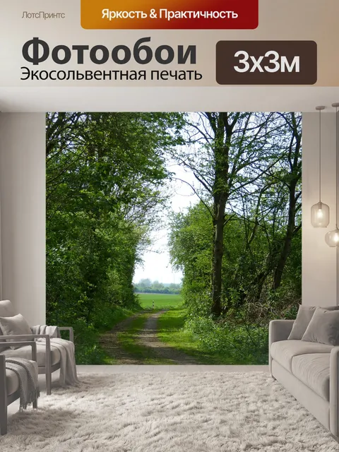 Фотообои Дорожка