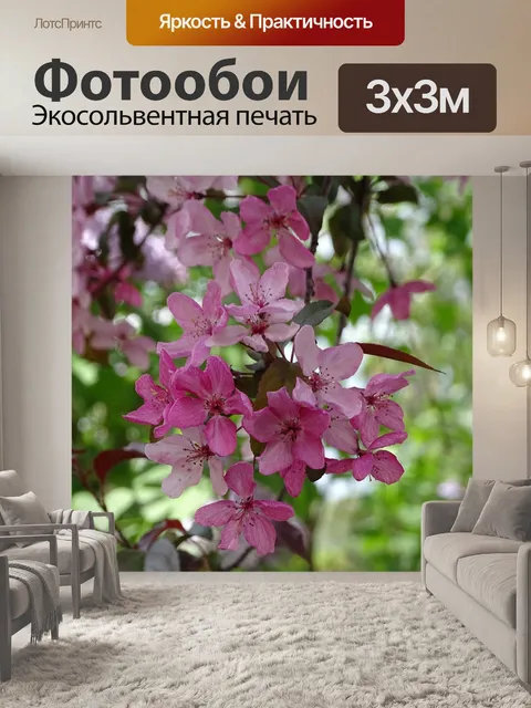 Фотообои Расцветает
