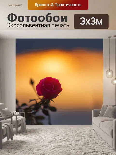Фотообои Роза