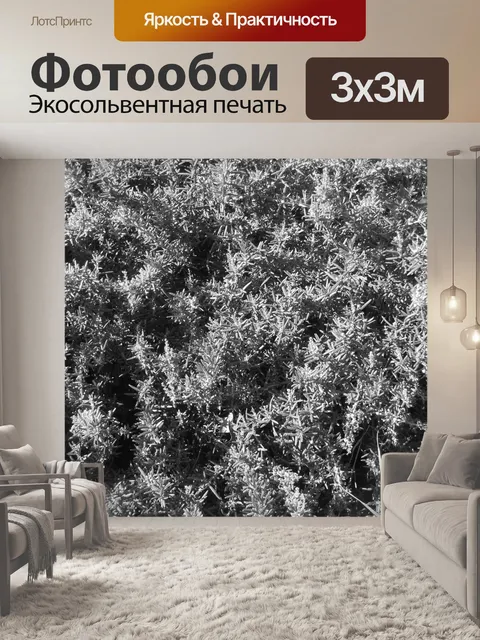 Фотообои Розмари Текстура Я