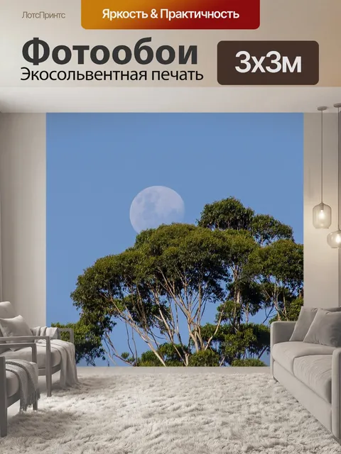 Фотообои Луна