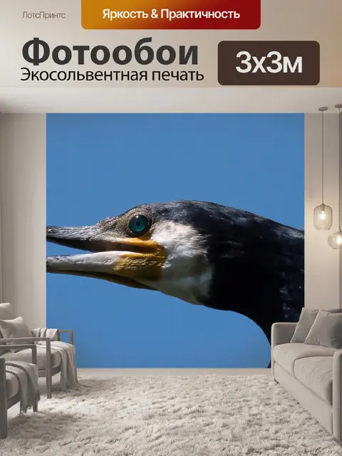 Фотообои Птицы