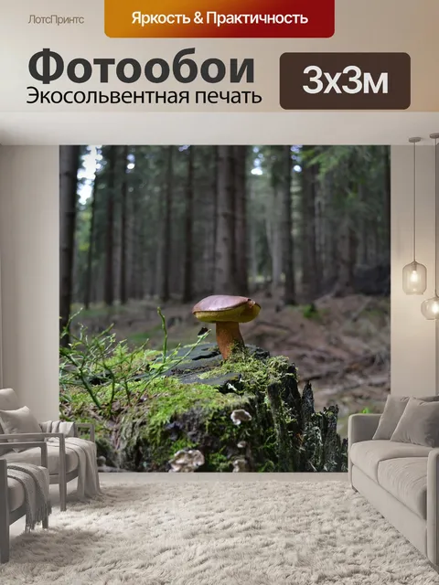 Фотообои Лес