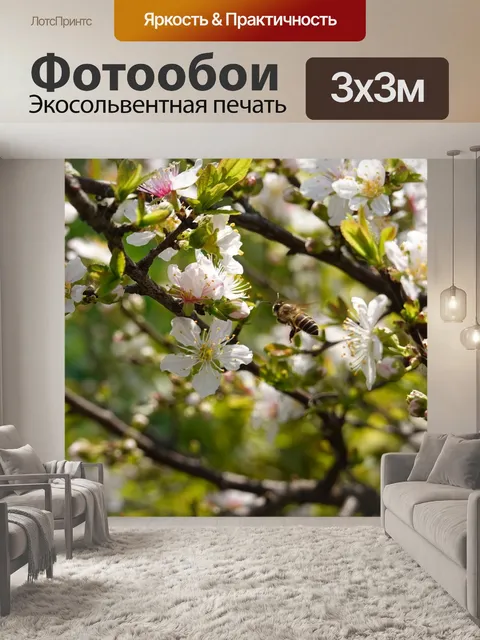Фотообои Сакура