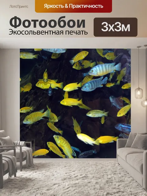 Фотообои Рыбы
