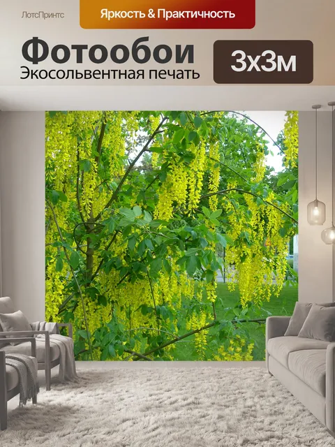 Фотообои Золотой дождь