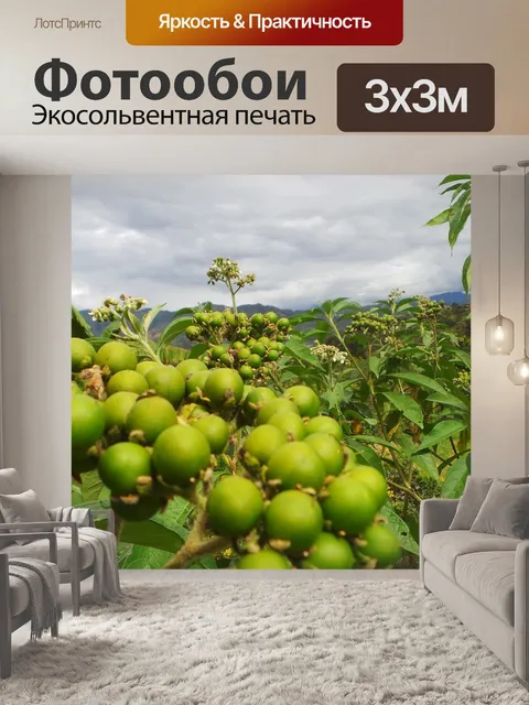 Фотообои Фрукты