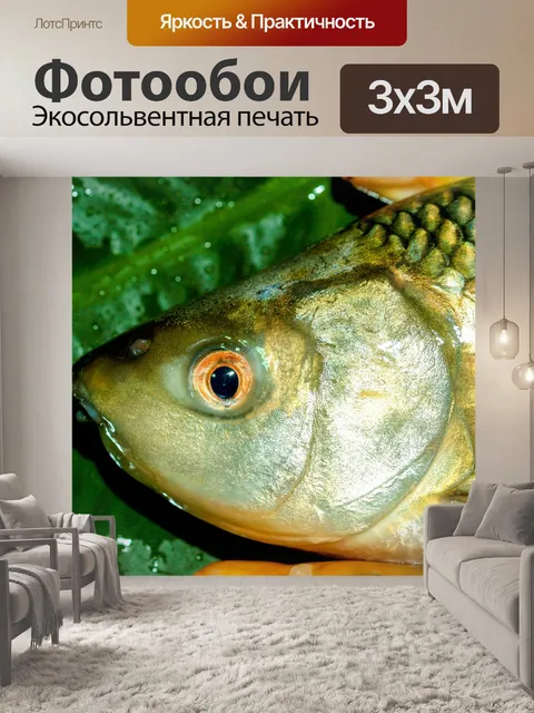 Фотообои Корм для пресноводных рыб