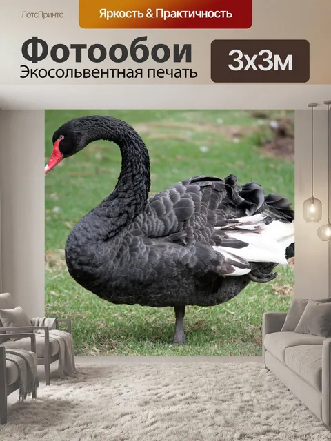 Фотообои Животное