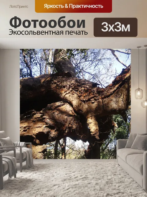 Фотообои Искаженная река кустарниково-ивовая ветв