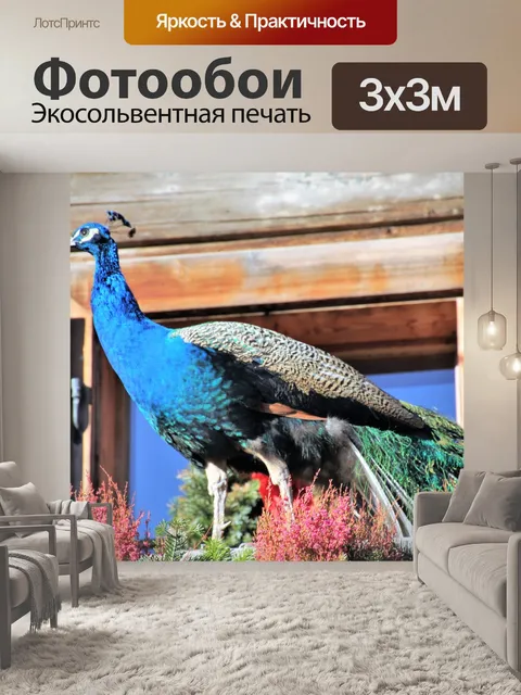 Фотообои Птица