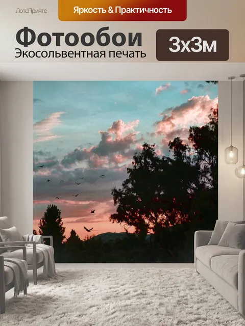 Фотообои птицы, летящие на закате