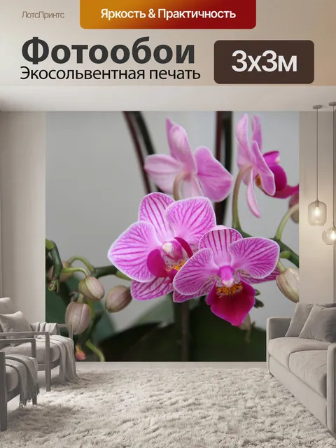 Фотообои Орхидеи