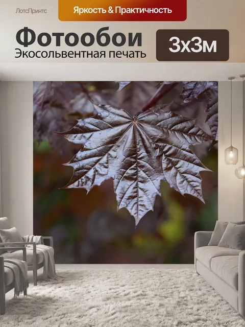 Фотообои Листья