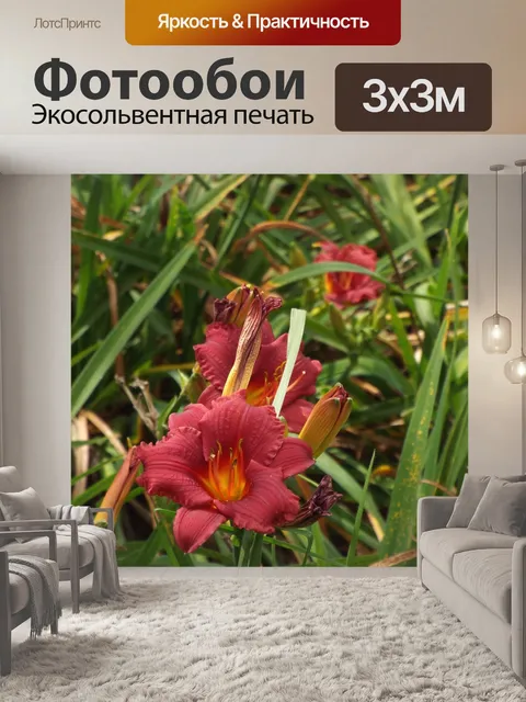 Фотообои Цветы