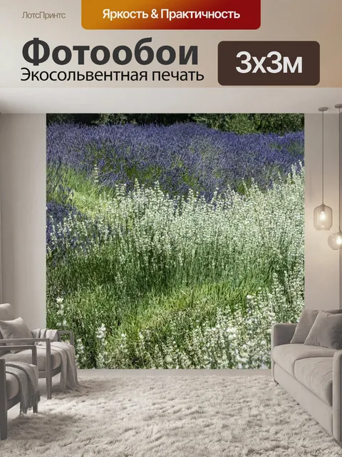 Фотообои бело-фиолетовая лаванда