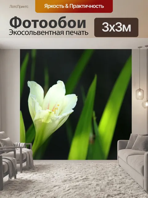 Фотообои белый фон цветок