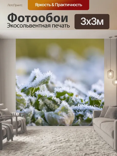 Фотообои Морозные зимние листья