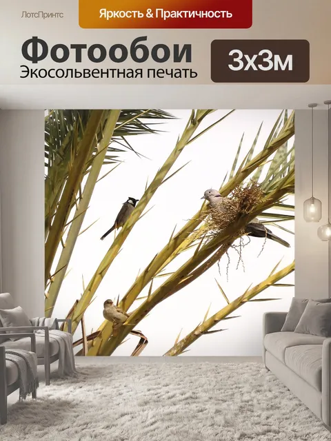 Фотообои Дерево
