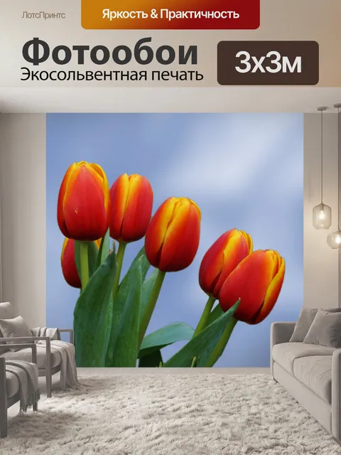 Фотообои Тюльпаны