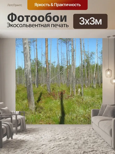 Фотообои Лес