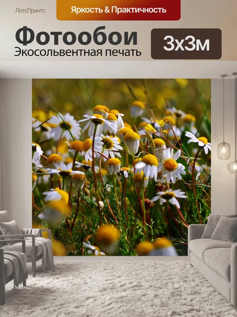 Фотообои Цветы