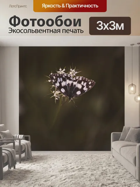 Фотообои Бабочка