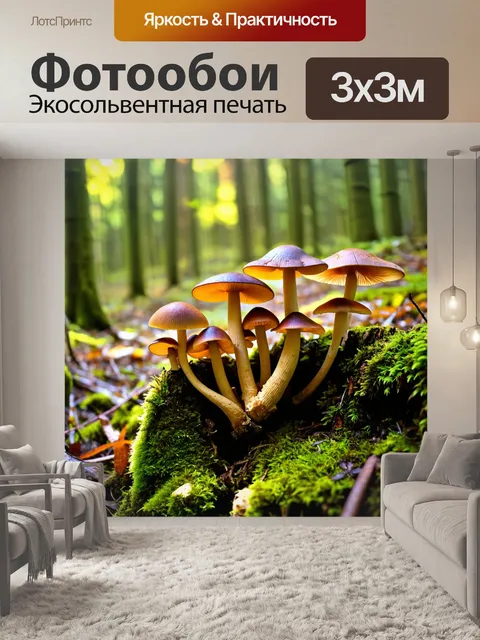 Фотообои грибы лес, мохнатые пни, покрытые яркими грибами разных форм и цветов, солнечные лучи создают волшебную…