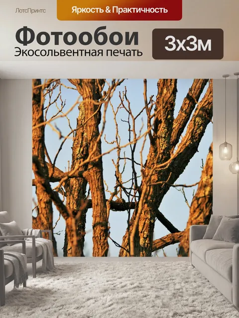 Фотообои голые ветви японской изюмом