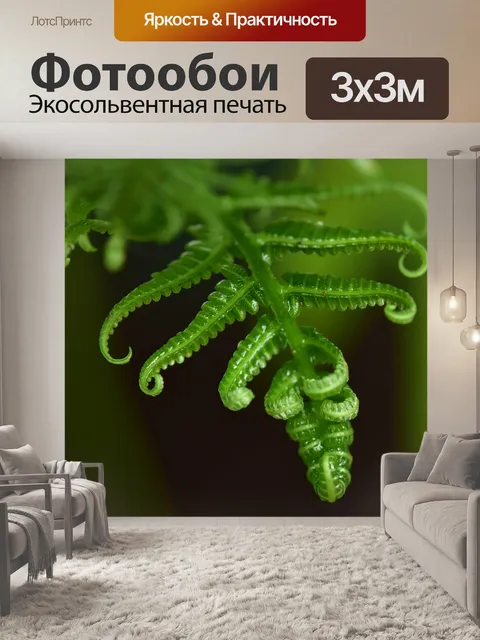 Фотообои Листья папоротника