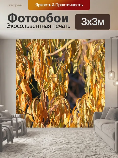 Фотообои желтый персик листья