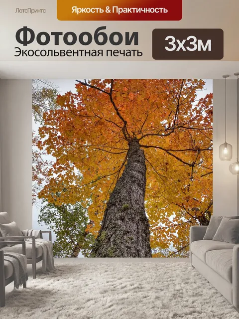 Фотообои Дерево