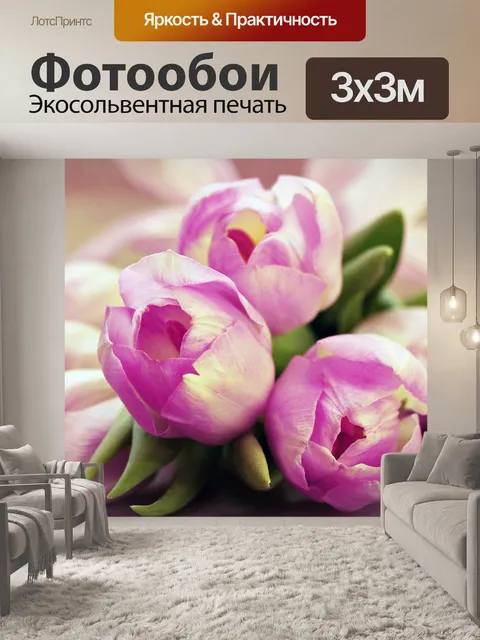 Фотообои Тюльпаны