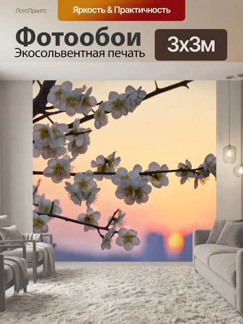 Фотообои Цветение сливы
