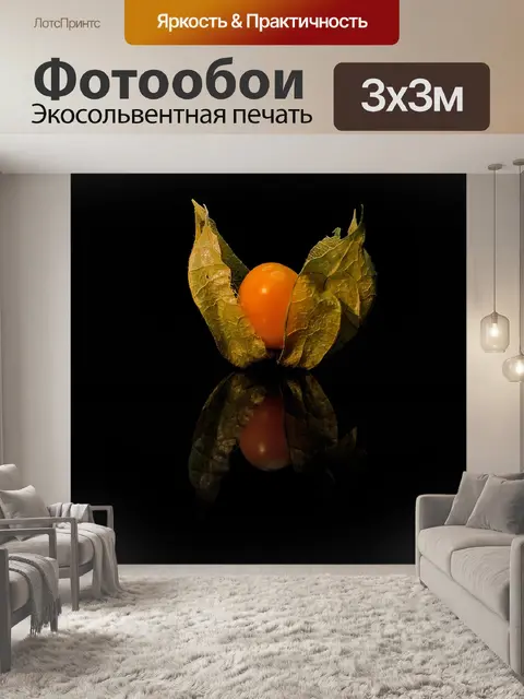 Фотообои Физалис